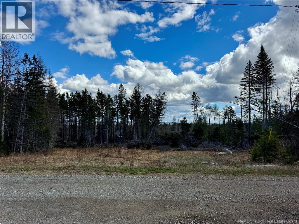 Lot Slopeside Lane