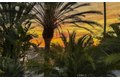 Additional image 40 of 3524 Grand View Blvd, Los Angeles, CA, 90066