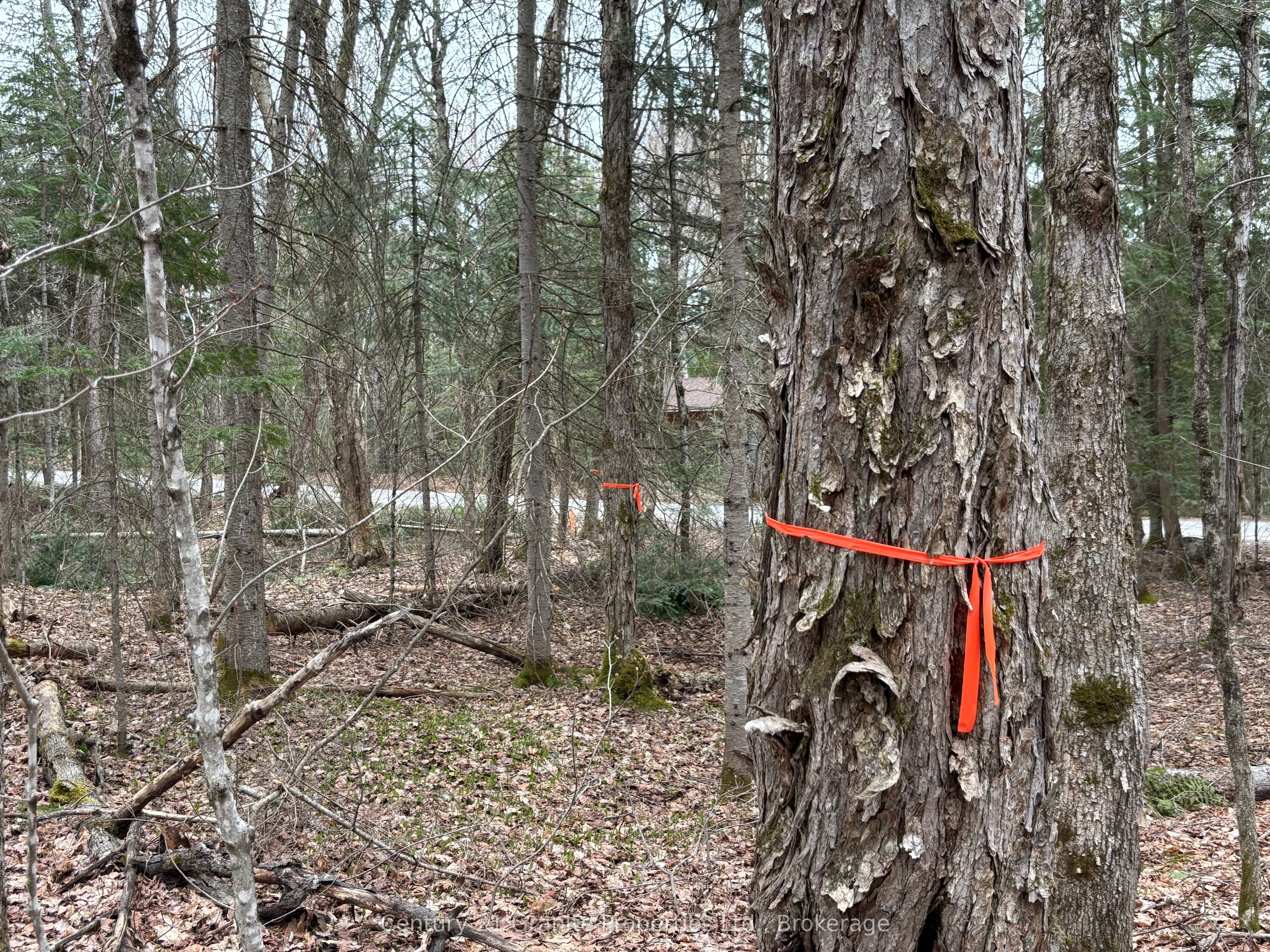 Additional image 2 of Lot 1 Loch Erne Road, Mcdougall, ON, P2A 2W7