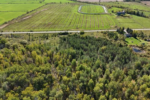 Additional image 7 of 6696 33/34 Nottawasaga Side Road, Clearview, ON, L0M 1S0