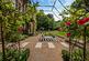 Additional image 36 of Ripsley Park, Milland, Hampshire