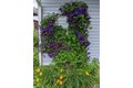 Additional image 4 of 1230 Earlville Rd, Earlville, NY, 13332