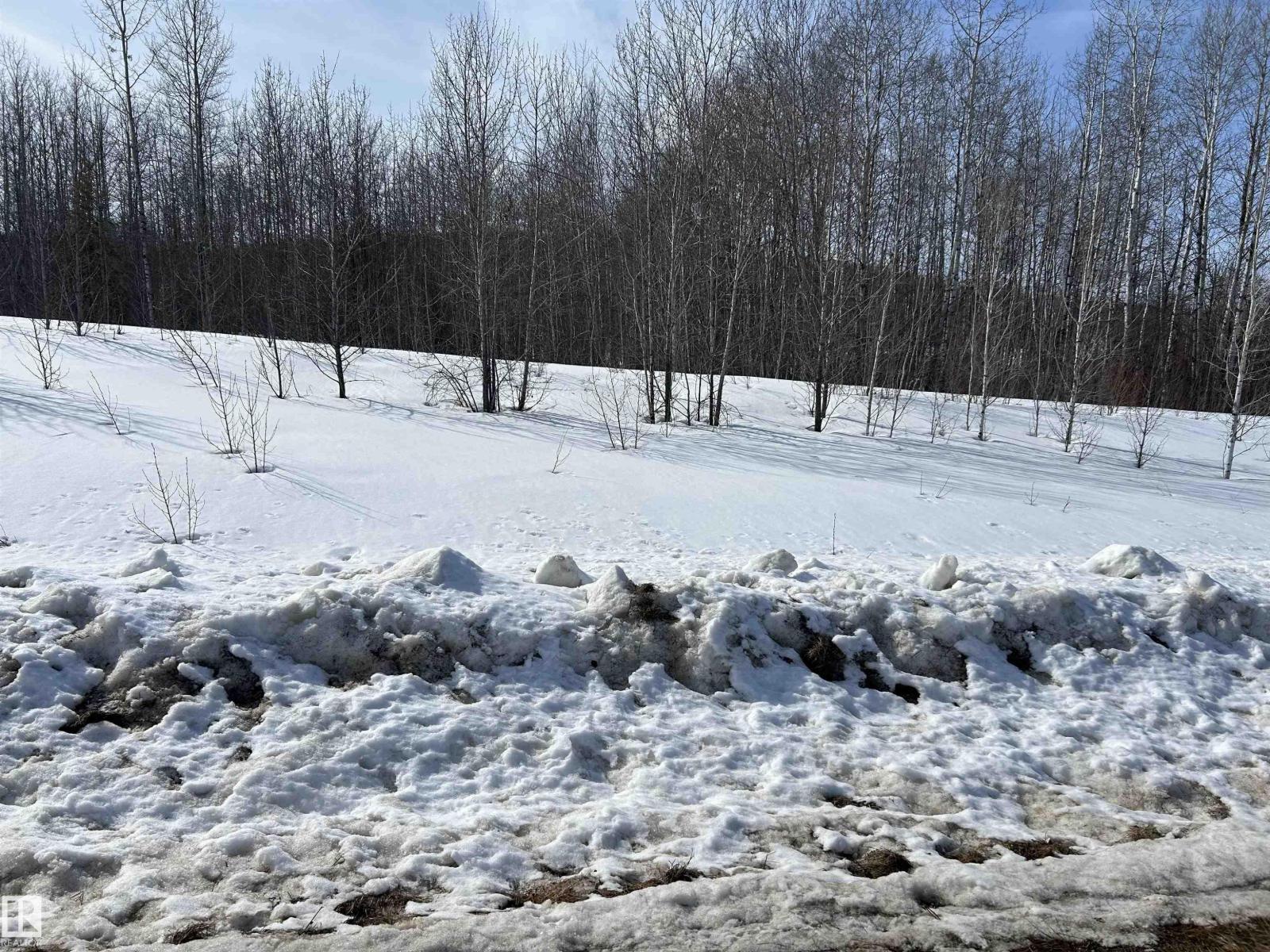 NE-23 62 1 W4 411a Road, Rural Bonnyville M.d., AB, T0A0T0