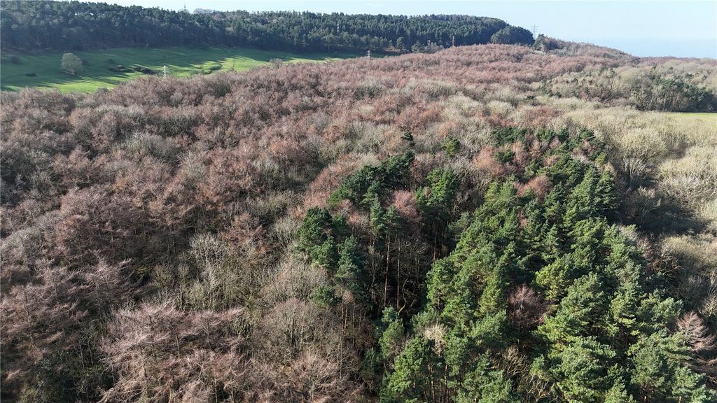 Additional image 4 of Land for saleWilton Woods, Wilton Lane, Guisborough, North Yorkshire TS14