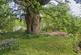 Additional image 51 of Llanwrthwl, Llandrindod Wells