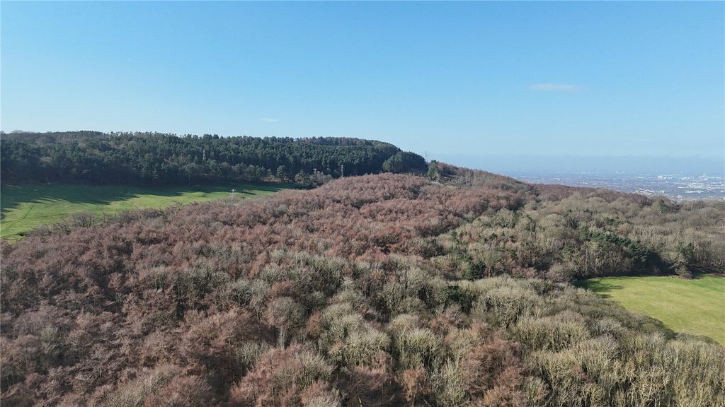 Additional image 5 of Land for saleWilton Woods, Wilton Lane, Guisborough, North Yorkshire TS14