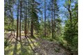 Additional image 11 of 13466 Yuba Close, Nevada City, CA, 95959