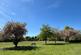 Additional image 24 of Primrose Hill, Kings Langley WD4