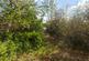 Additional image 5 of Dalmore Road, Dulwich, London, SE21