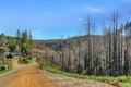 Additional image 45 of 21525 Oxnard Ct, Grass Valley, CA, 95949