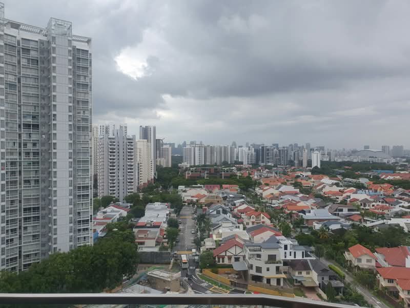 8 Amber Road photo 4