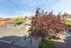 Additional image 20 of Lindford Way, Kings Norton, Birmingham