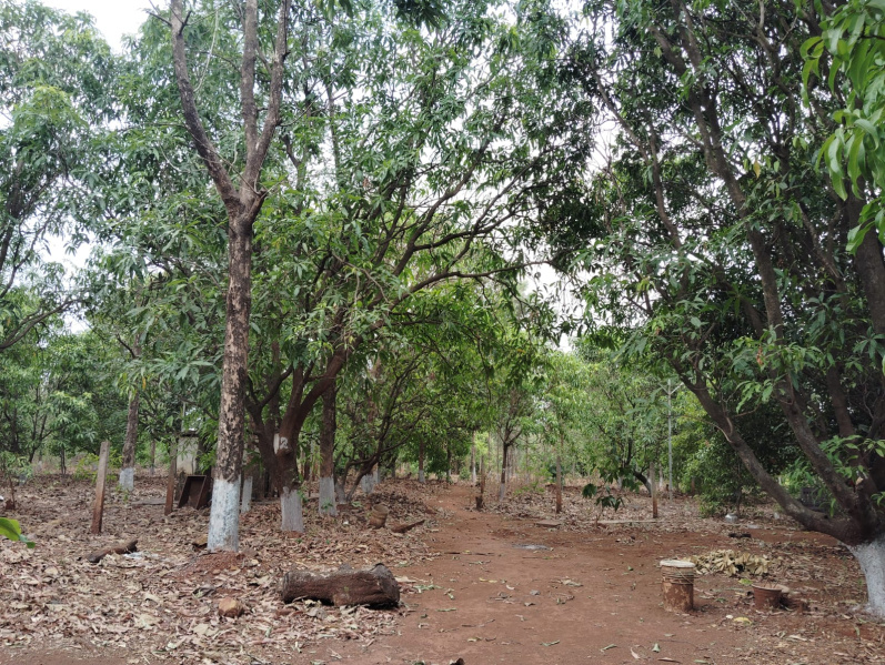 Saralgaon, Murbad, Thane photo 2