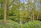 Additional image 15 of Ghyllside Road, Northiam, Rye, East Sussex