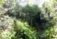Additional image 28 of Mount Ambrose, Redruth TR15