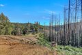 Additional image 89 of 21525 Oxnard Ct, Grass Valley, CA, 95949