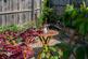 Additional image 24 of Greenbank Avenue, Saltdean, BN2