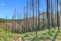 Additional image 63 of 21525 Oxnard Ct, Grass Valley, CA, 95949