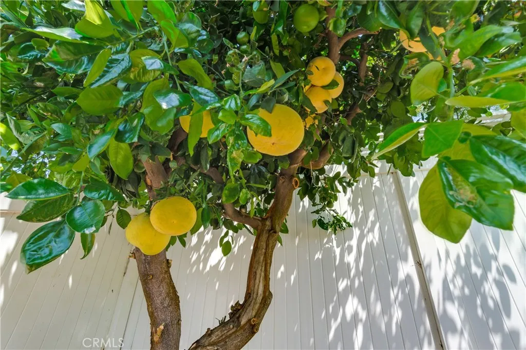 Additional image 85 of 1049 El Mirador Dr, Fullerton, CA 92835