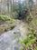 Additional image 19 of Brilley Wood (about 5 and a half acres), Whitney-on-Wye, Hay-on-Wye, Herefordshire HR3