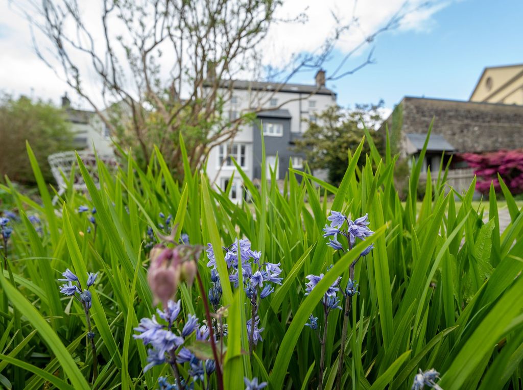 Additional image 66 of 7 bed detached house for saleLlywnon, 61 St James Street, Narberth SA67