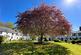 Additional image 20 of 1 Culloden Court, Inverness, IV2 7DX
