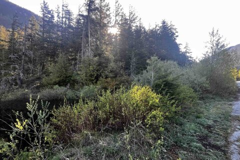 Additional image 7 of RLL1 Strawberry Lane, Hope, BC, V0X 1L5