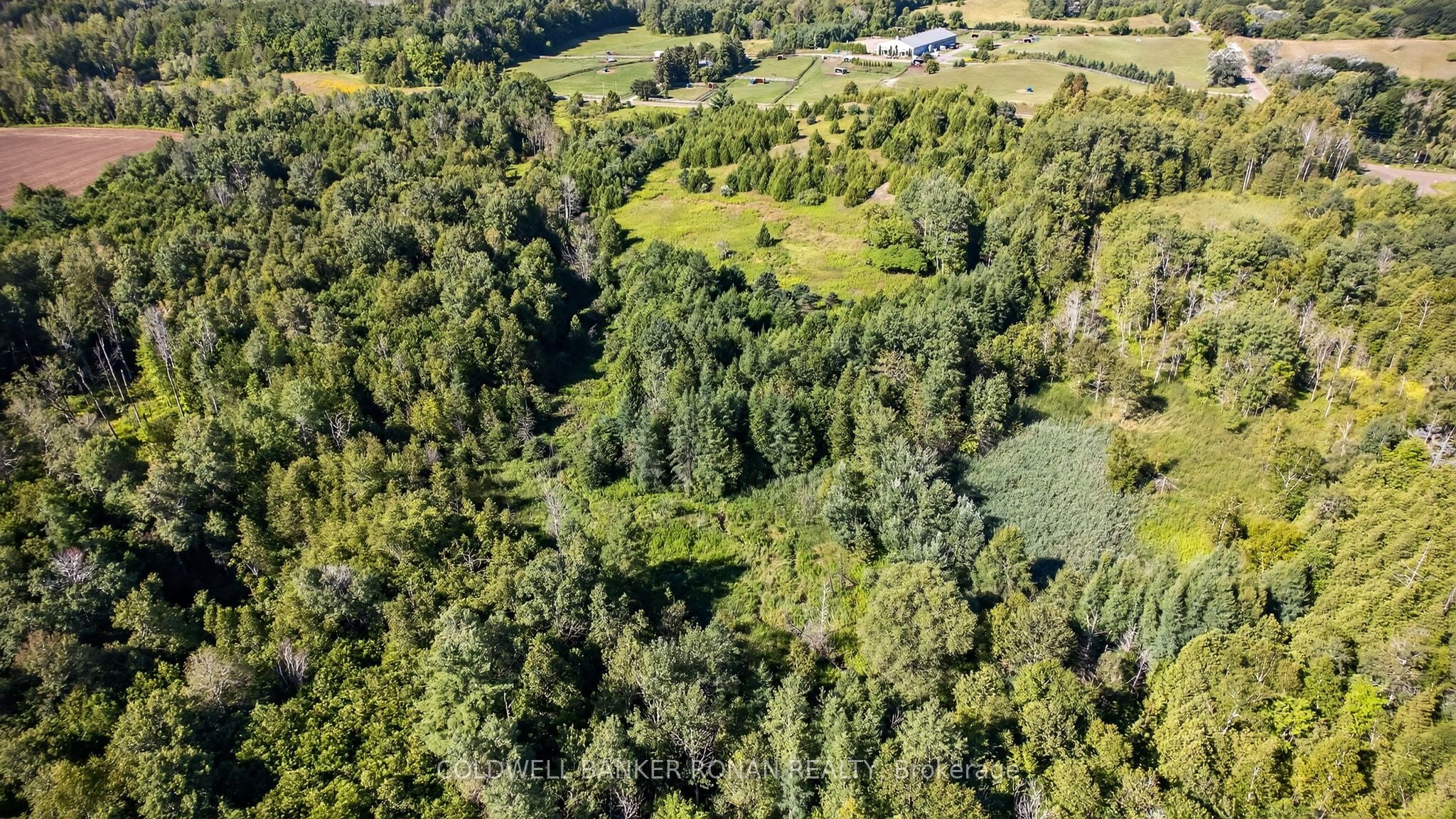Additional image 5 of 8155 19th Side Road, King, ON, L0G 1T0