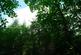 Additional image 13 of Mungo Wood, Benderloch, Oban, Argyle & Bute PA37