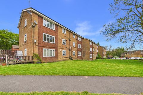 Green Oak Drive, Totley S17