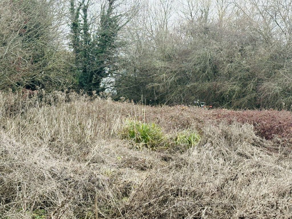 Additional image 2 of Land for saleAmenity Land, Crookham Hill, Thatcham RG19