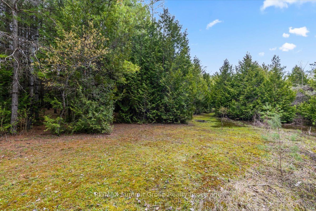 Additional image 3 of PT LT 70 West Back Line, Chatsworth, ON, N0C 1H0