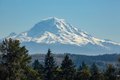 Additional image 29 of 109 S Division St, Auburn, WA, 98001