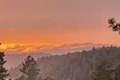 Additional image 62 of 552 Bean Creek Rd Spc 30, Scotts Valley, CA, 95066