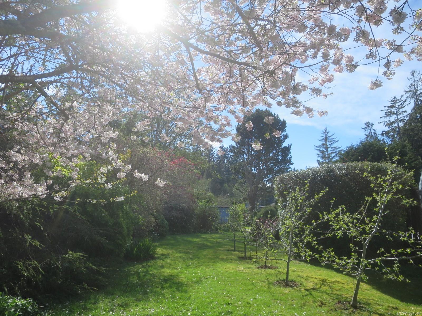 Additional image 4 of 1588 Whiffin Spit Road, Sooke, BC, V9Z 0T4