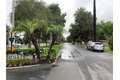 Additional image 15 of 1826 Wellington Rd, Los Angeles, CA, 90019