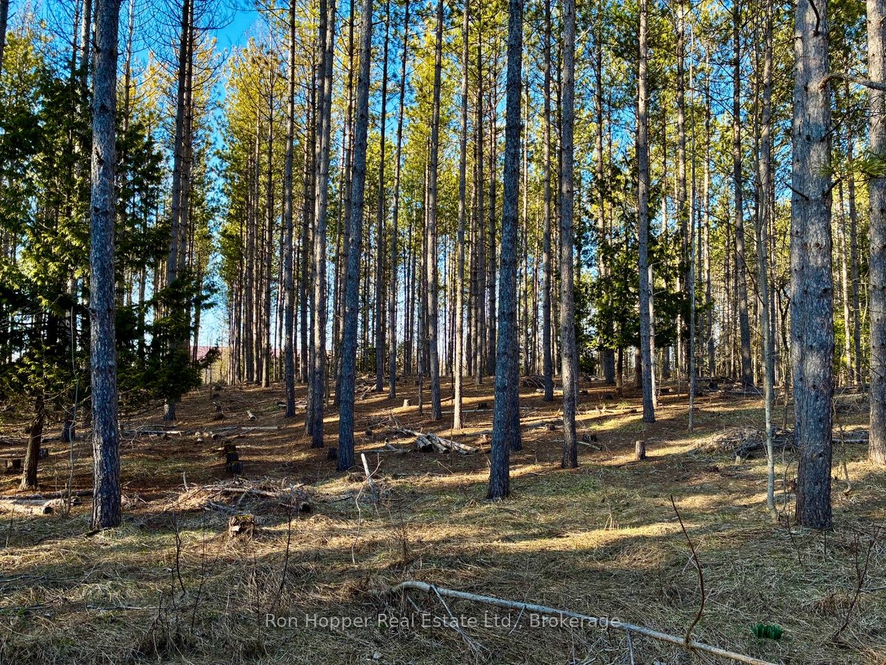 Additional image 6 of Lt 24 Conc Rd 6 Road, Chatsworth, ON, N0H 1K0