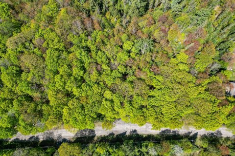 Additional image 8 of 989 North Waseosa Lake Road, Huntsville, ON, P1H 2J4