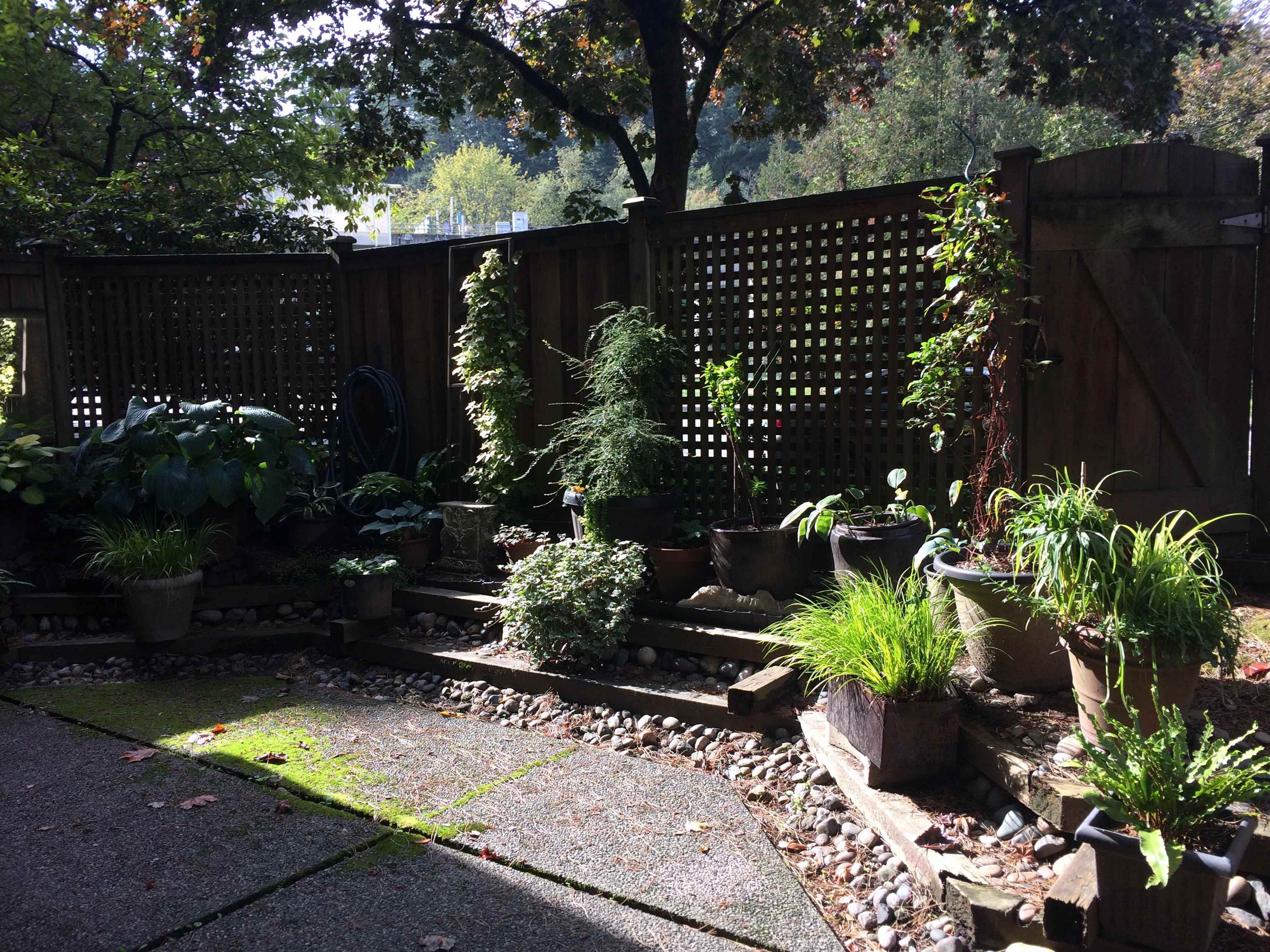Additional image 2 of 105-5932 Patterson Avenue, Burnaby, BC, V5H 4B4