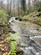 Brilley Wood (about 5 and a half acres), Whitney-on-Wye, Hay-on-Wye, Herefordshire HR3