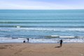 Additional image 83 of 99 Brighton Ave, Bolinas, CA, 94924