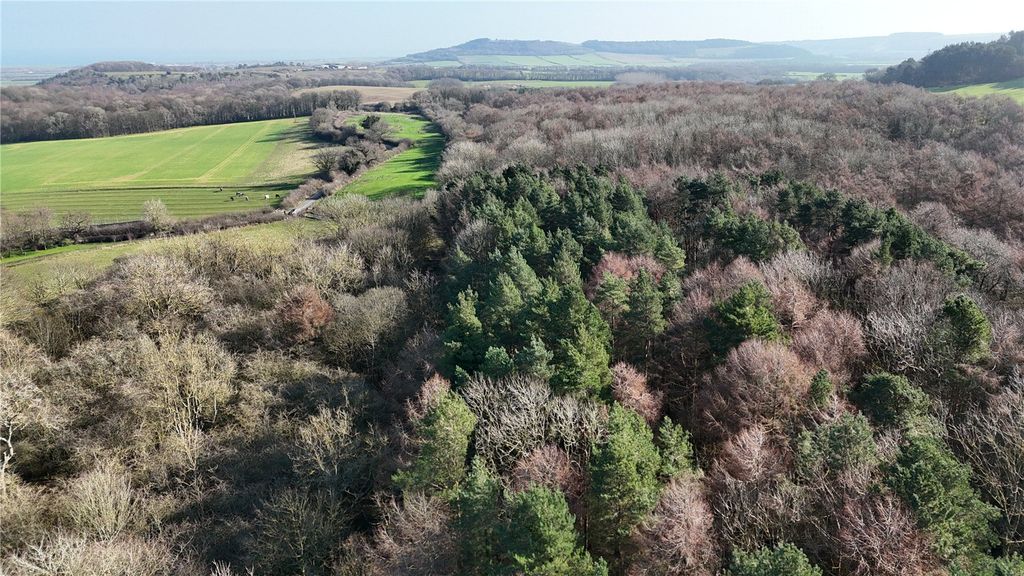 Additional image 8 of Land for saleWilton Woods, Wilton Lane, Guisborough, North Yorkshire TS14