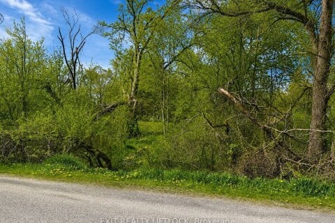Additional image 5 of 0 Maple Ridge Drive, Kawartha Lakes, ON, K0L 2W0