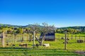 Additional image 83 of 3185 Rattlesnake Rd, Newcastle, CA, 95658