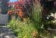 Additional image 49 of Markwick Terrace, St. Leonards, TN38