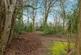Additional image 20 of Mansionhouse Gardens, Glasgow G41