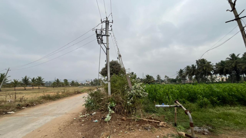 Kanakapura, Bangalore photo 2
