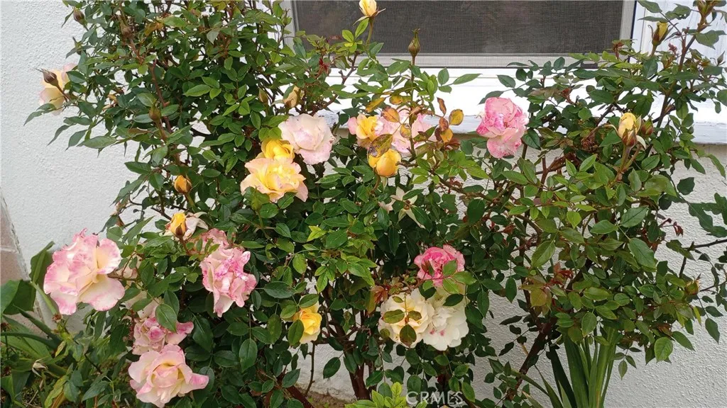 Additional image 40 of 37 Hastings Avenue, Ventura, CA 93003