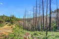 Additional image 64 of 21525 Oxnard Ct, Grass Valley, CA, 95949