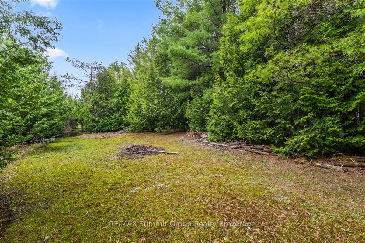 Additional image 5 of PT LT 70 West Back Line, Chatsworth, ON, N0C 1H0